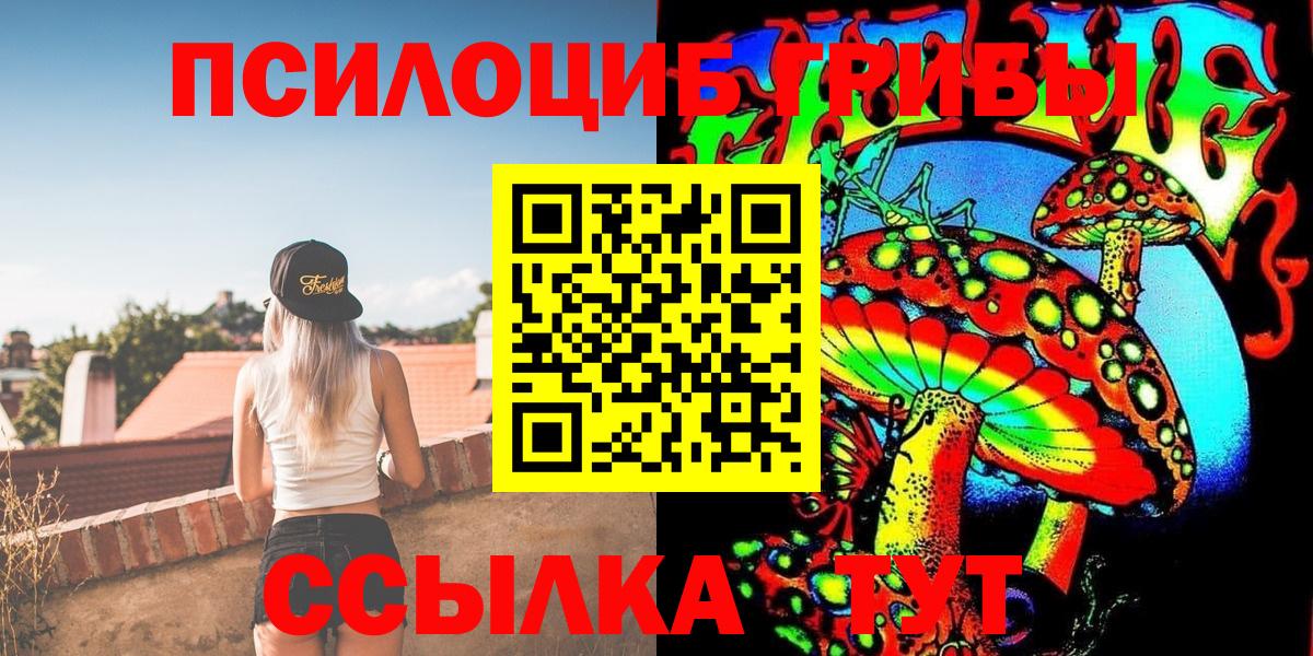 магазин    Вход с VPN  Артём  Галлюциногенные грибы Magic Shrooms 